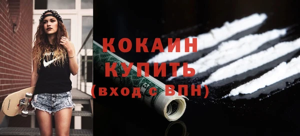 прущие грибы Абинск