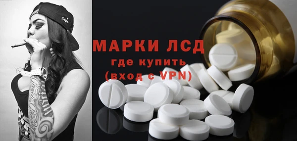 прущие грибы Абинск