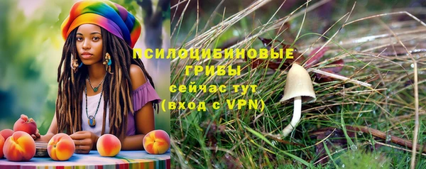 ешки Абдулино
