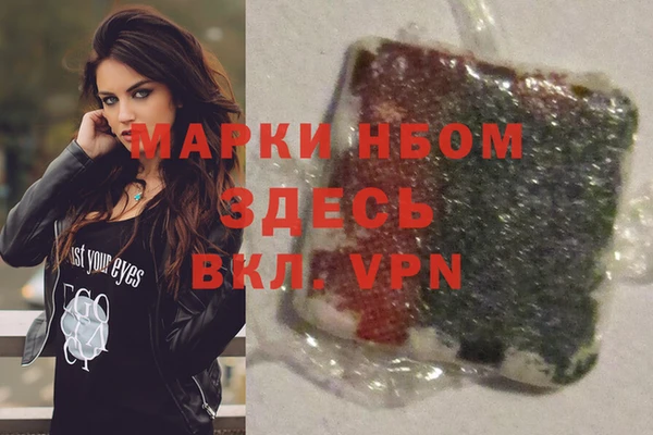 прущие грибы Абинск