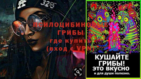 прущие грибы Абинск