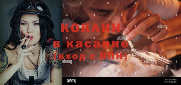 прущие грибы Абинск