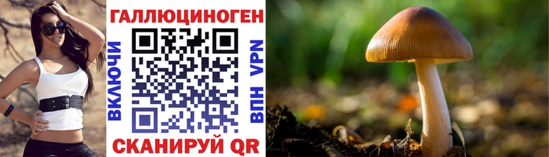 Галлюциногенные грибы мицелий Новоалександровск
